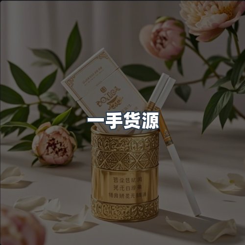 服务优势